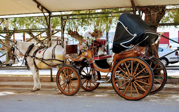 Horse-drawn carriage on Athens Riviera night cruise tour.