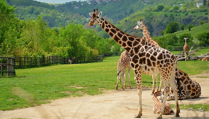 Zoológico de Praga - Herbívoros africanos - entrada zoológico