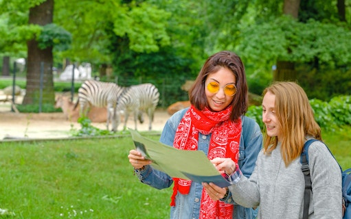 Visitors at Prague Zoo viewing zebras during a river cruise tour.
