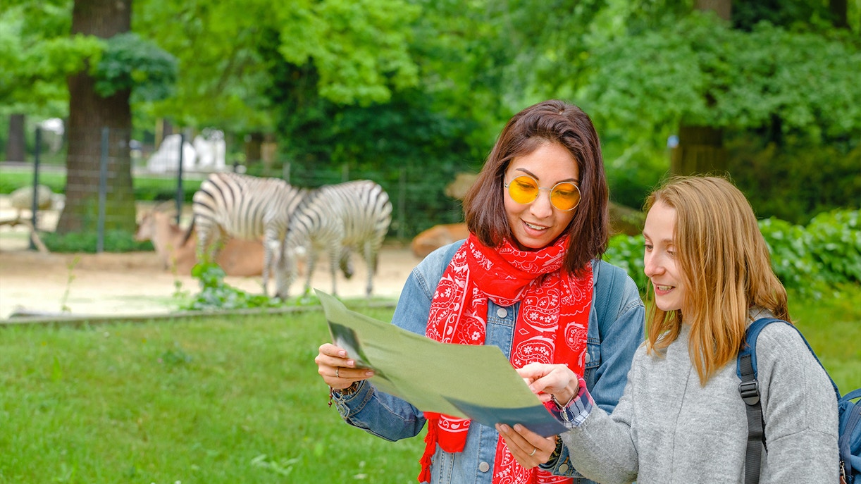 Por que vale a pena visitar o zoológico de Praga? - entrada zoológico