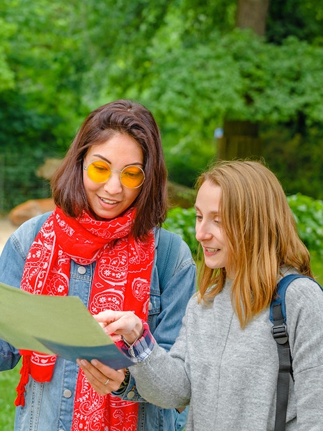 Visitors at Prague Zoo viewing zebras during a river cruise tour.