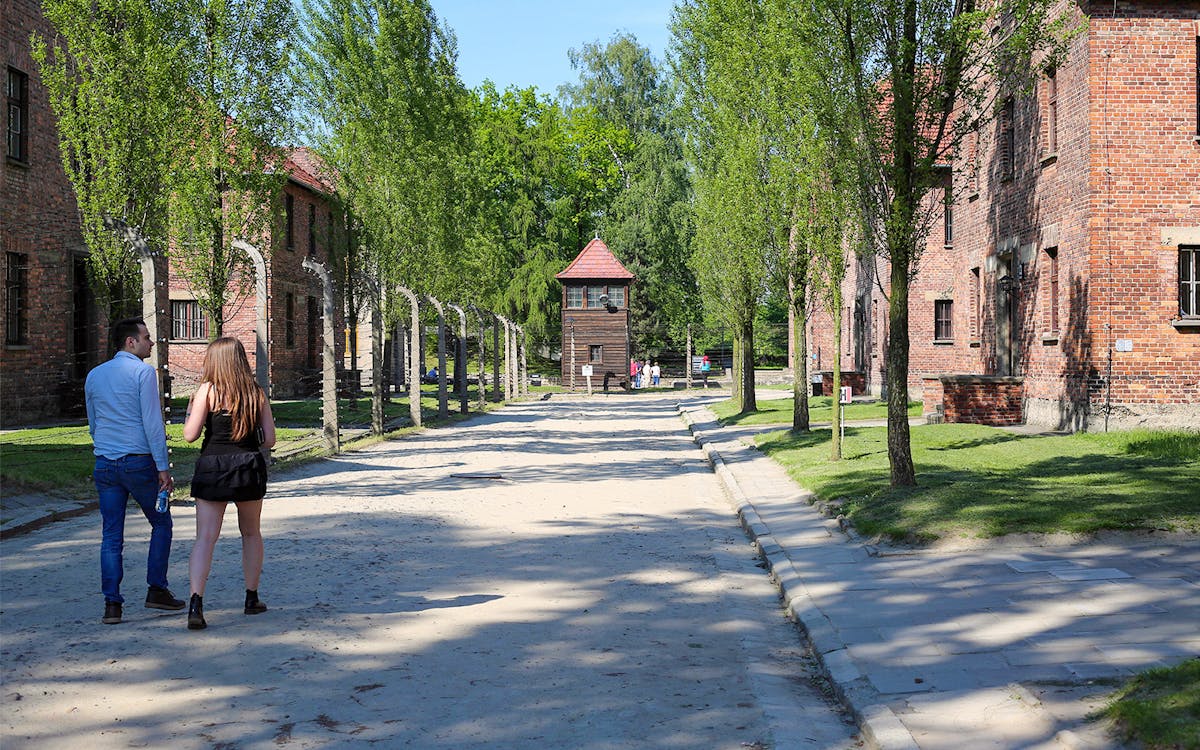 auschwitz-birkenau: fast-track tickets & official guided tour (without transfers)-5 auschwitz-birkenau: fast-track tickets & official guided tour (without transfers)-5