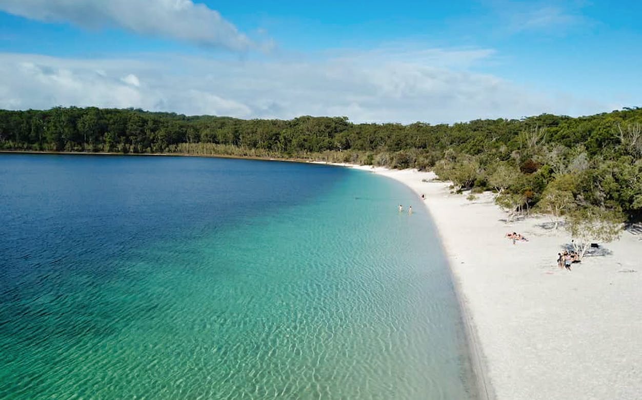 Fraser Island beach with clear water and forest backdrop on 4WD day tour.