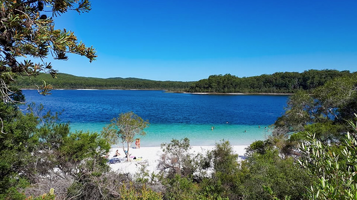 Fraser Island Lake McKenzie with clear blue water and white sandy beach, surrounded by lush greenery.