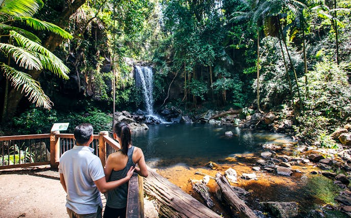 Couple admiring waterfall in lush rainforest on Mount Tamborine morning tour.