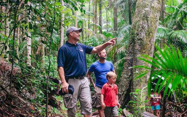 Guide leading a group through lush rainforest on Mount Tamborine morning tour.