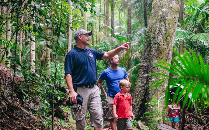 Guide leading a group through lush rainforest on Mount Tamborine morning tour.