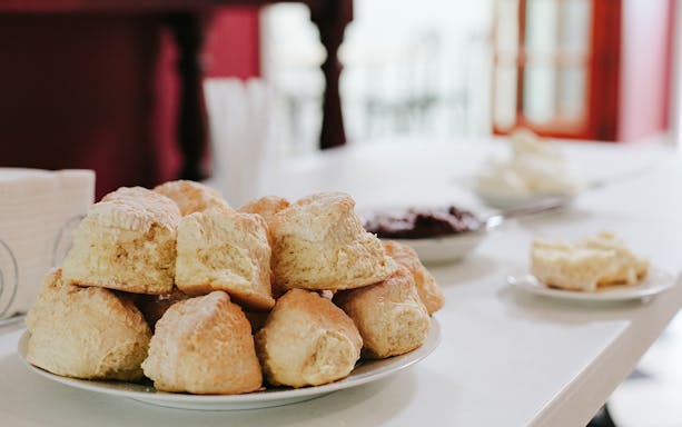 Scones on a plate with jam and cream, part of Mount Tamborine Morning Tour.