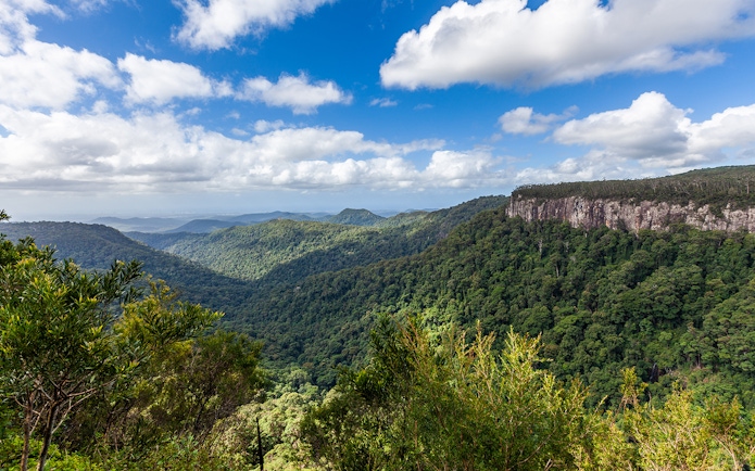 Springbrook National Park lush green landscape with distant cliffs under a blue sky.
