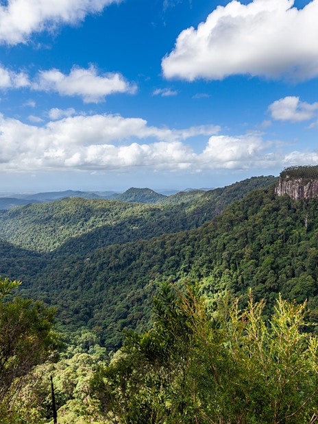 Book Springbrook National Park Tickets 2025 | Australia Day Tours