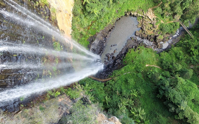 Aerial view of waterfall and lush greenery on the Natural Bridge & Springbrook Waterfalls Tour.