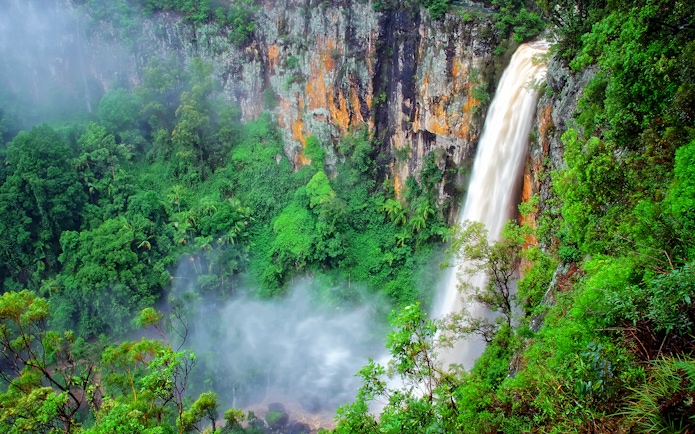 Waterfall cascading over lush cliffs in Springbrook National Park, Australia.