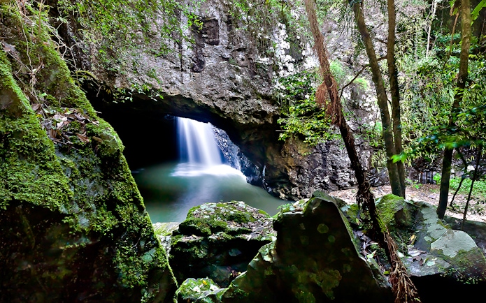 Natural Bridge waterfall flowing through rock arch in Springbrook National Park.