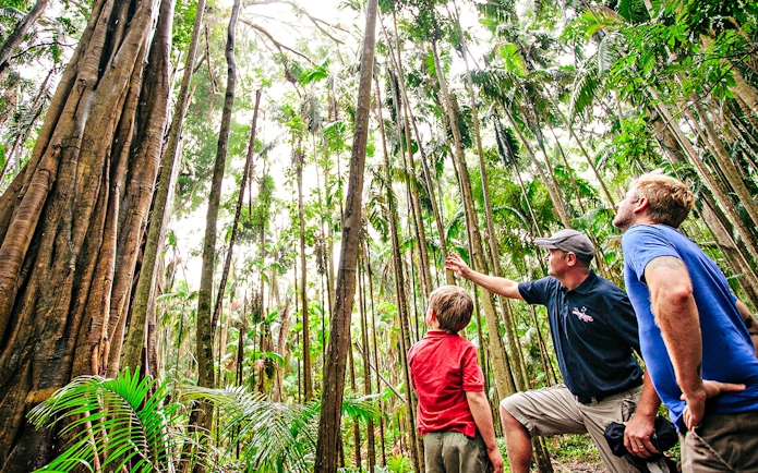 Tour guide explaining rainforest features to visitors on the Natural Bridge & Springbrook Waterfalls Tour.