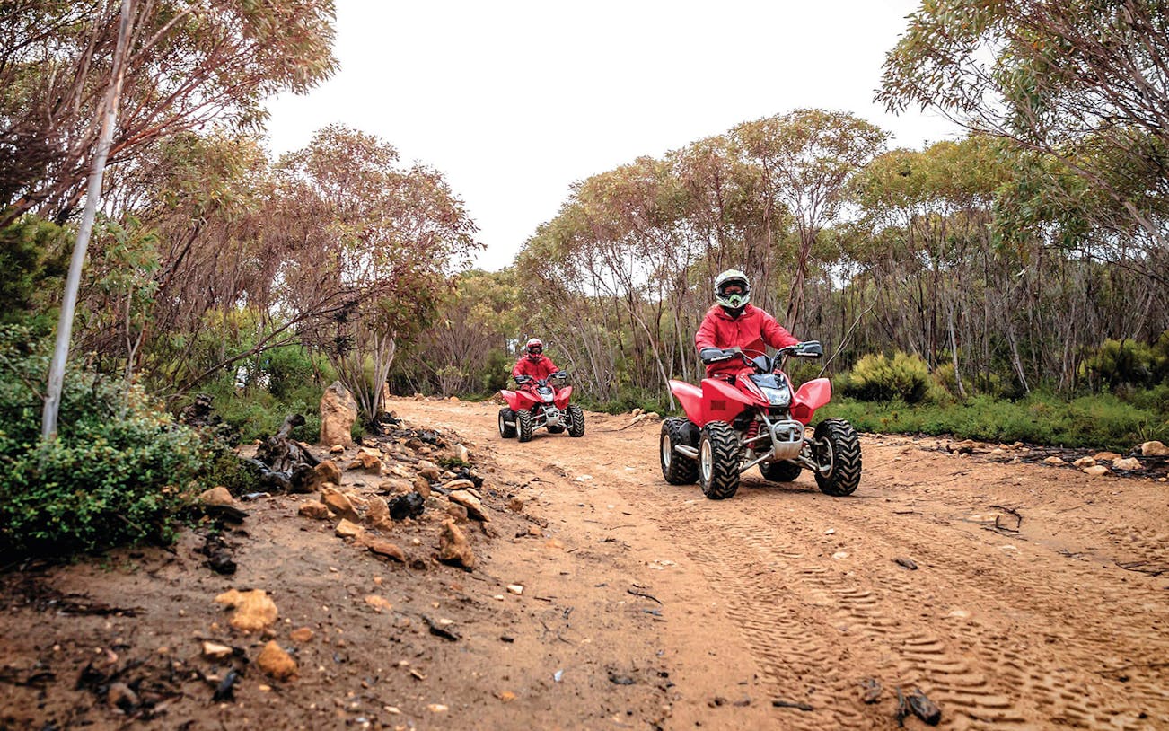 Two people riding red quad bikes on a dirt trail through a forest.