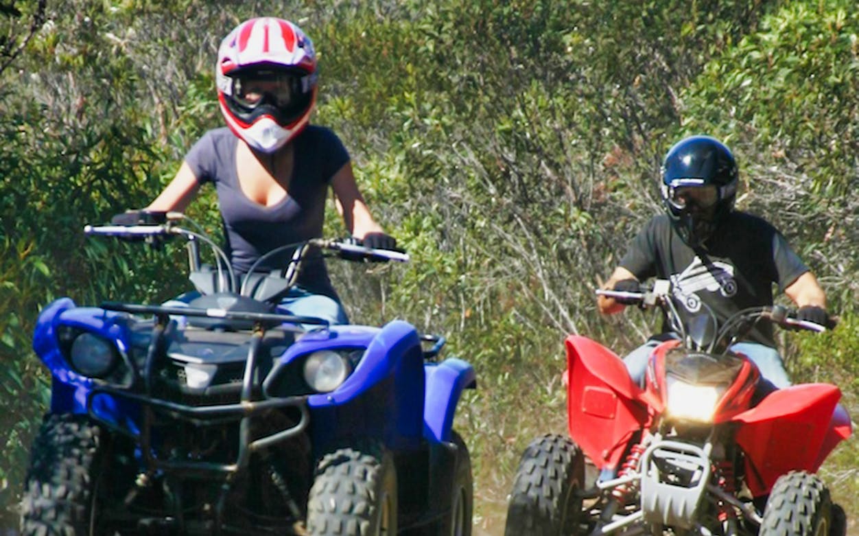 Two people riding all-terrain quads through a forest trail.