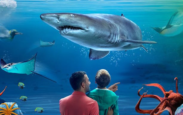 Father and child observing marine life at SEA LIFE Kelly Tarlton's, Auckland.