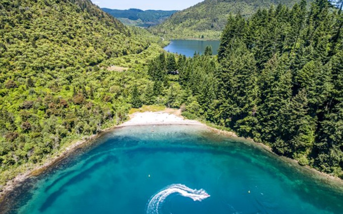Aerial view of a lake surrounded by lush forest in Rotorua, New Zealand.