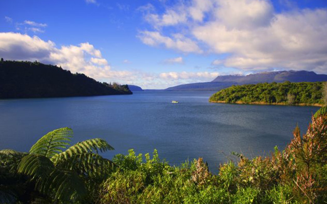 Rotorua lake view with lush greenery and distant hills under a blue sky.