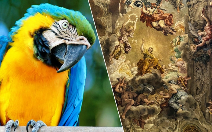 Macaw at Bio Parco and fresco at Palazzo Barberini, Rome.