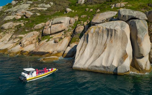 cruise of wilsons promontory in australia-1