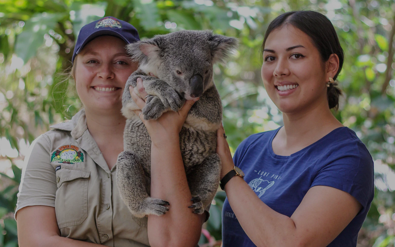 Book Lone Pine Koala Sanctuary Tickets 2026
