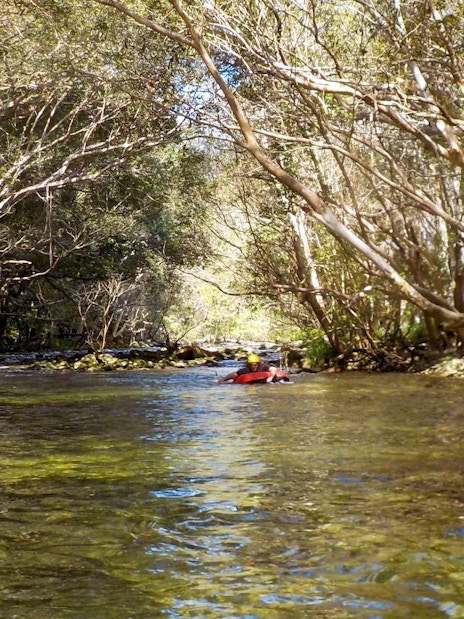 River tubing through a forested area with clear water and overhanging trees.