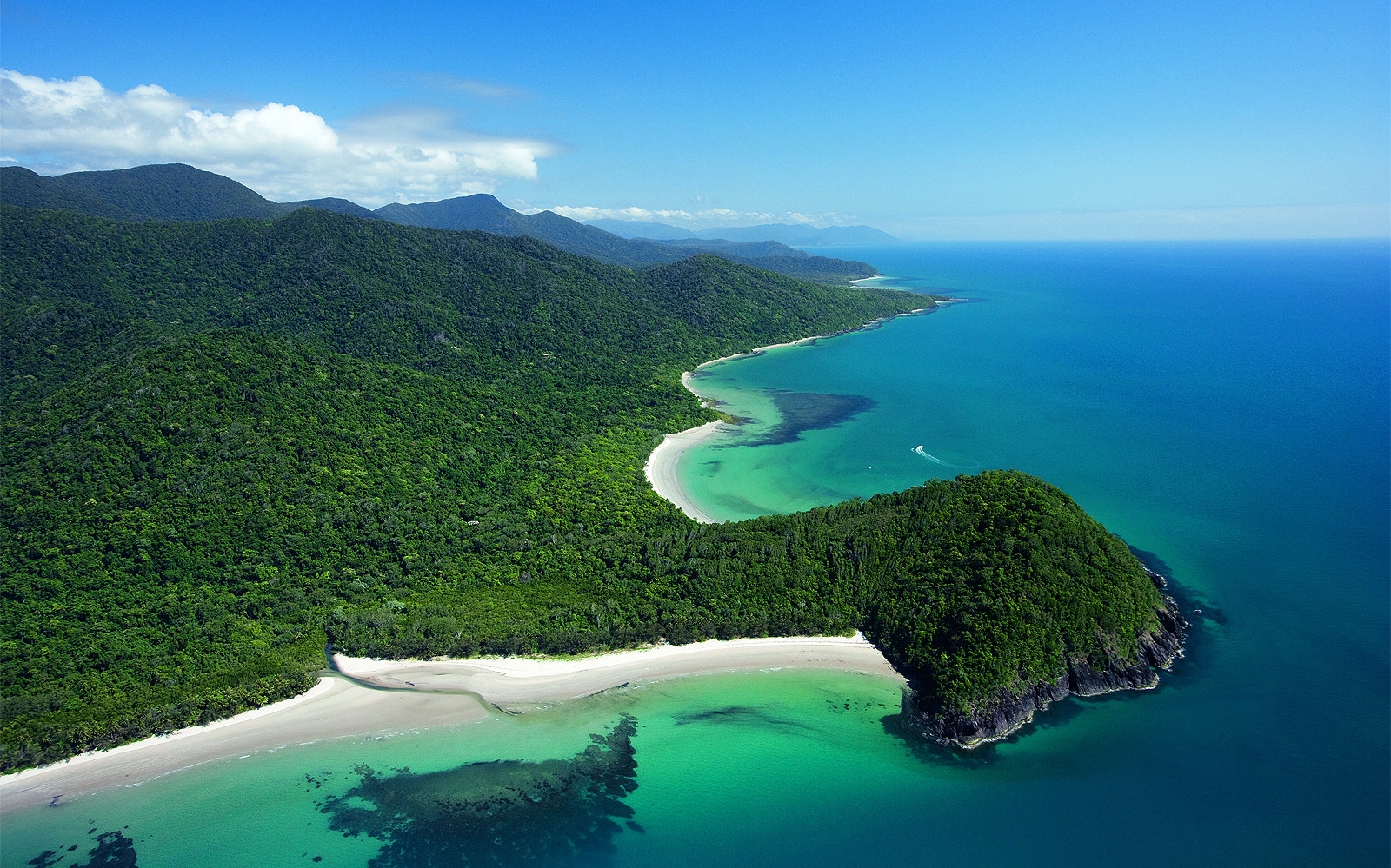 Cape Tribulation Day Tour