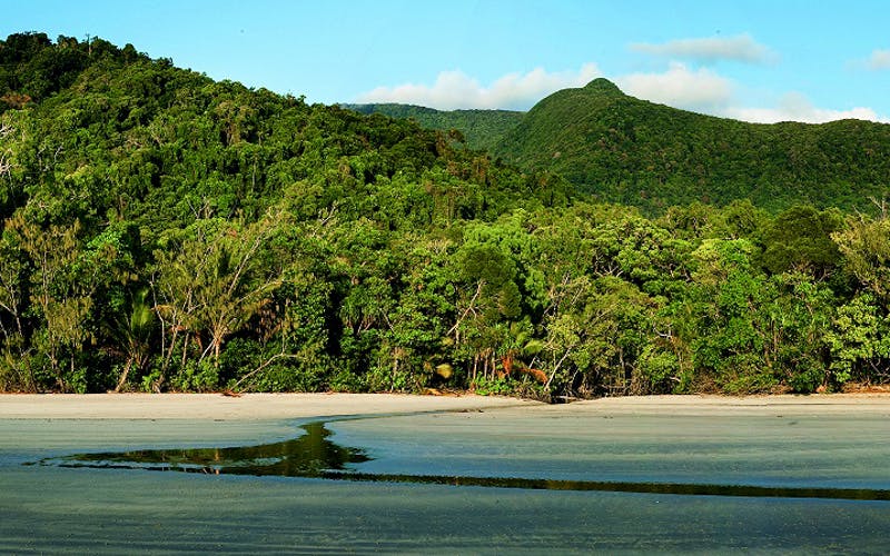 cape tribulation day tour with optional river cruise-2 cape tribulation day tour with optional river cruise-2
