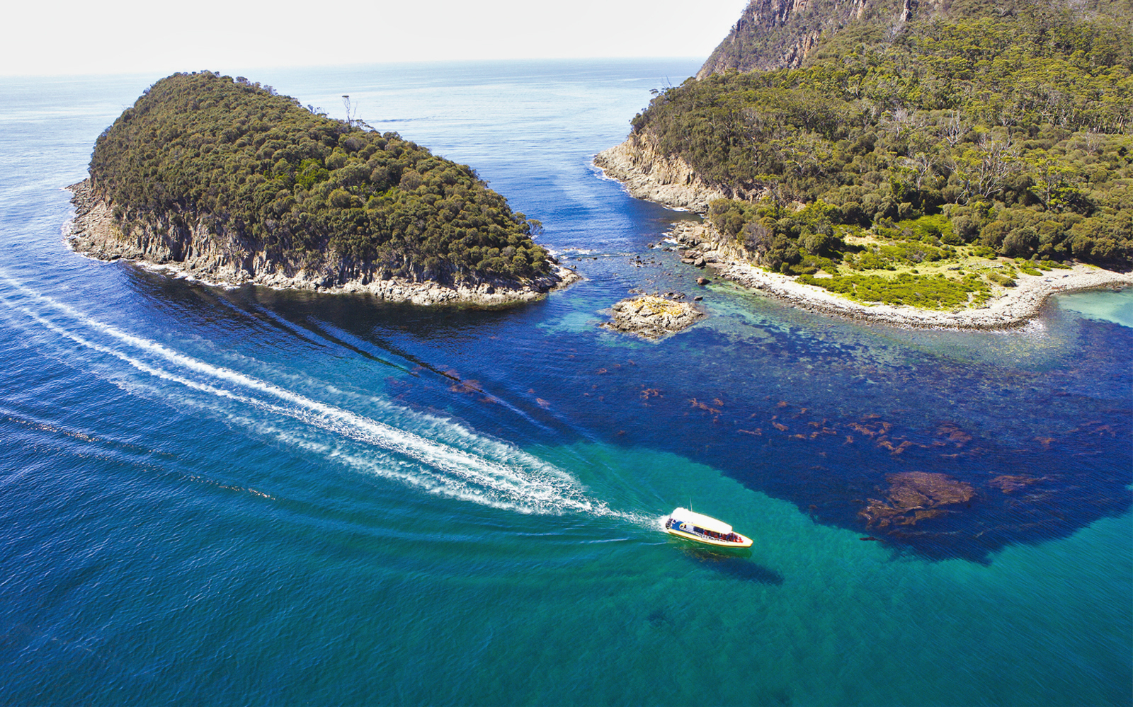 Bruny Island Tours 2022 | Cruises & Day Tours