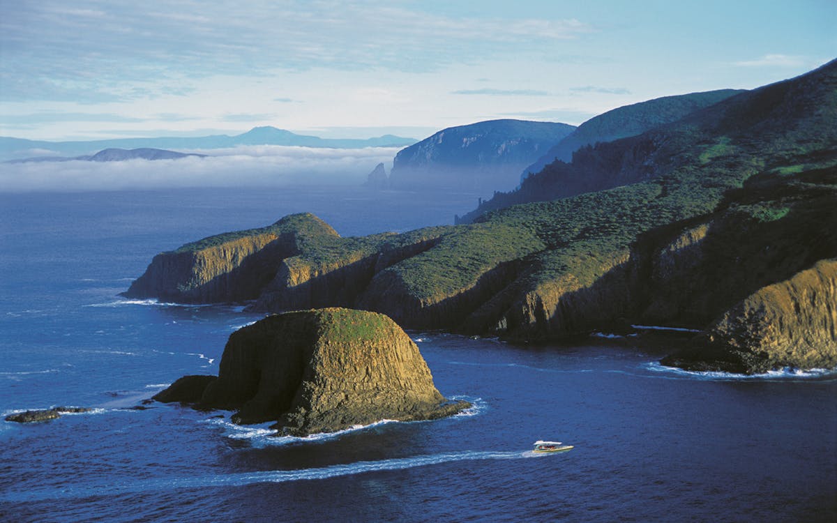 bruny island cruise-3 bruny island cruise-3