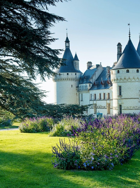 Chaumont sur Loire Castle with gardens and large trees in the foreground.