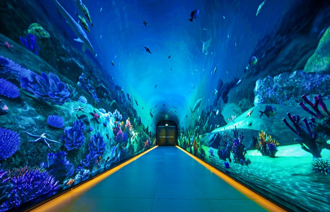 Palm Tower Dubai Tickets