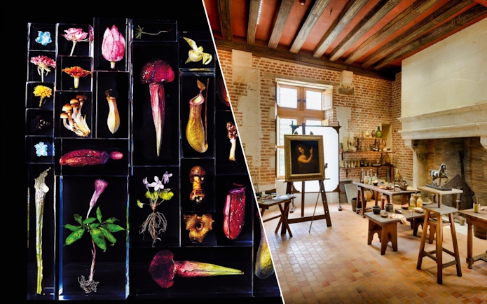 Botanical specimens and Leonardo da Vinci's workshop at Clos Lucé, Amboise Castle tour.