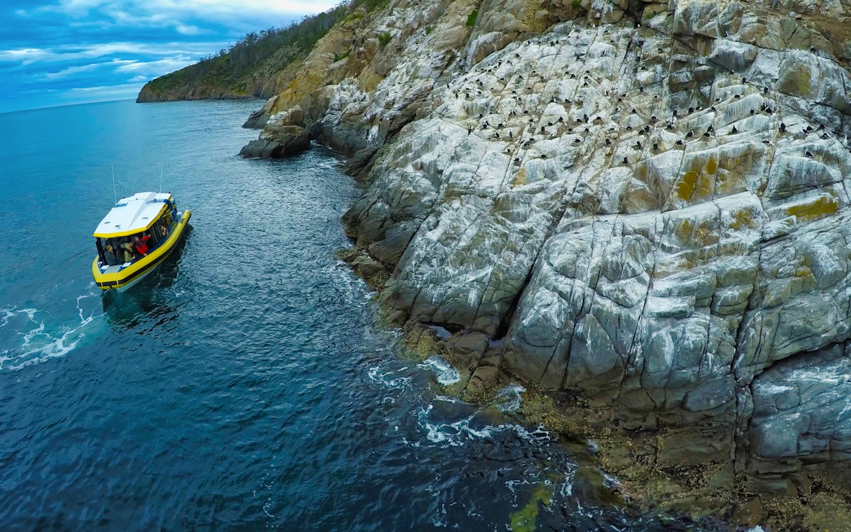 Boat cruising near rocky coastline on Iron Pot Cruise, Tasmania.