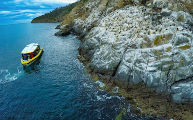 Boat cruising near rocky coastline on Iron Pot Cruise, Tasmania.