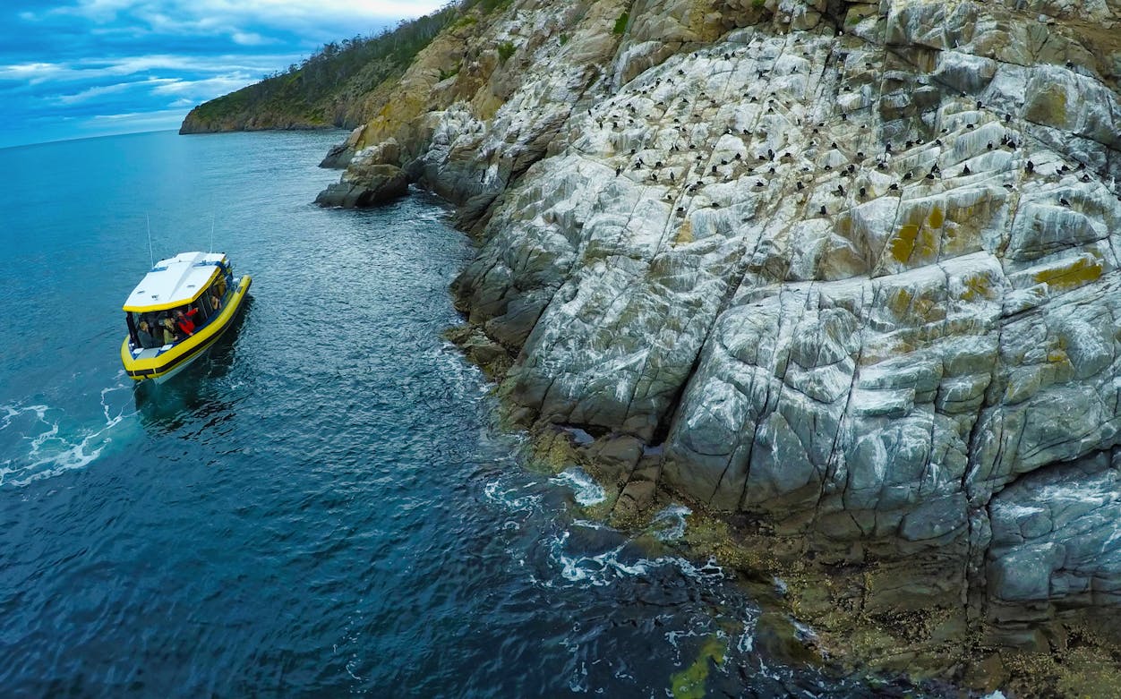 Boat cruising near rocky coastline on Iron Pot Cruise, Tasmania.