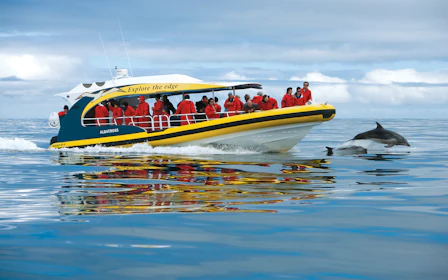 From Port Arthur: Tasman Island 3-Hour Wilderness Cruise

