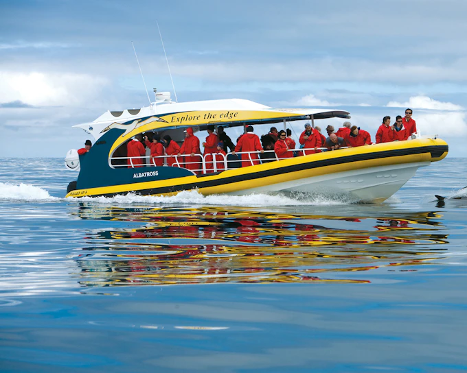 From Port Arthur: Tasman Island 3-Hour Wilderness Cruise