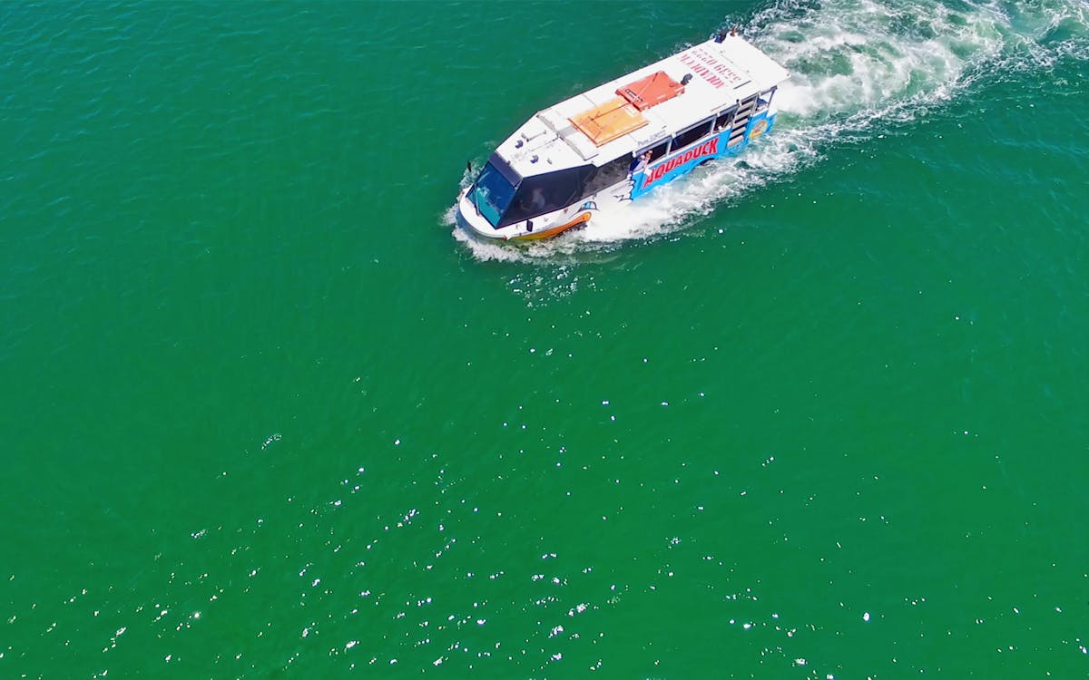 aquaduck sunshine coast: 1 hour city tour & river cruise-0 aquaduck sunshine coast: 1 hour city tour & river cruise-0