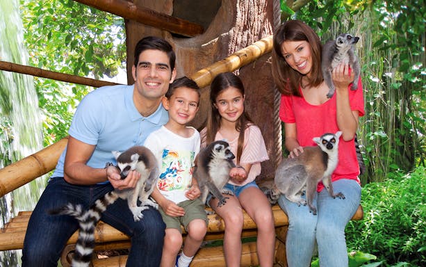 Family interacting with lemurs at Mundomar Marine Animal Park.