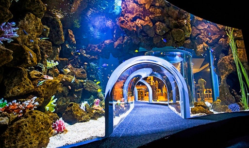 Poema del Mar Aquarium