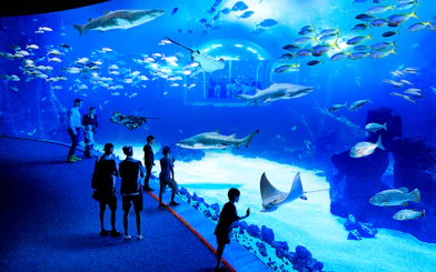 Visitors observing marine life at Poema del Mar Aquarium, featuring sharks and rays.