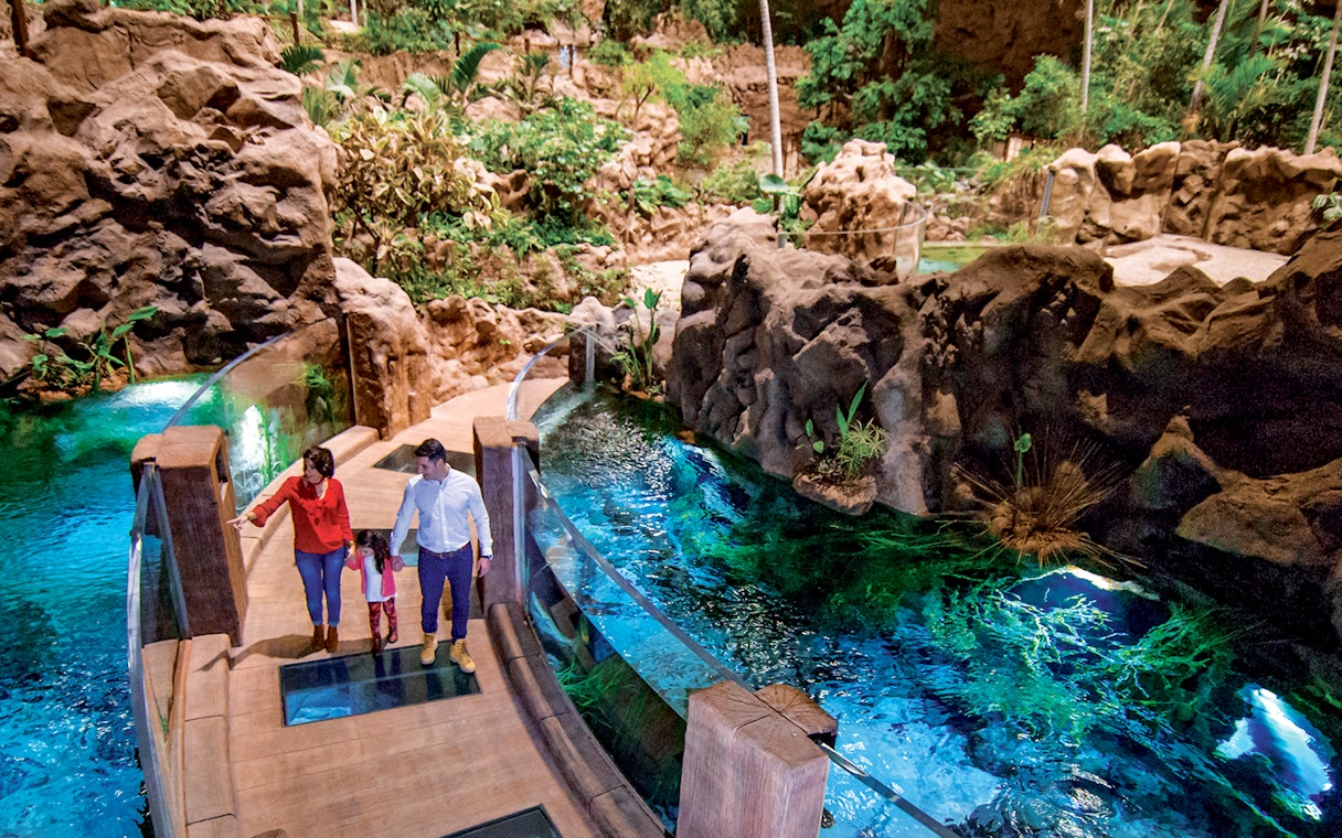 Family exploring Poema del Mar Aquarium's lush indoor jungle walkway.