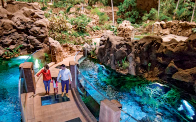 Family exploring Poema del Mar Aquarium's lush indoor jungle walkway.