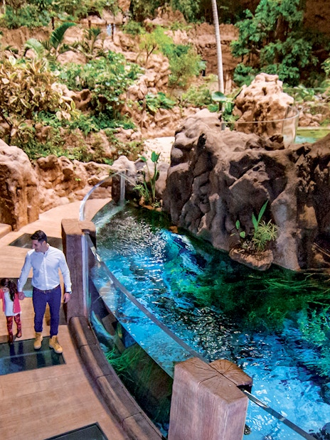 Family exploring Poema del Mar Aquarium's lush indoor jungle walkway.
