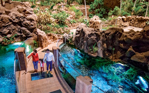 Family exploring Poema del Mar Aquarium's lush indoor jungle walkway.