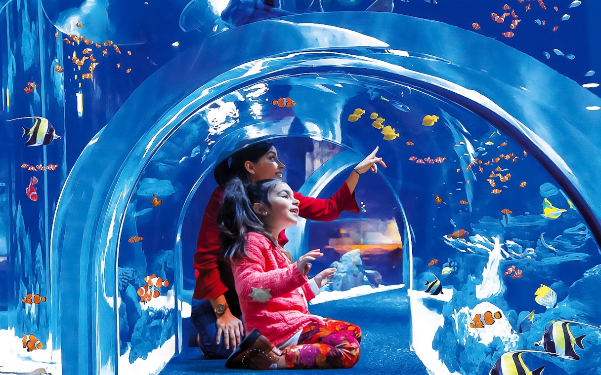 Visitors exploring underwater tunnel at Poema del Mar Aquarium, surrounded by colorful fish.