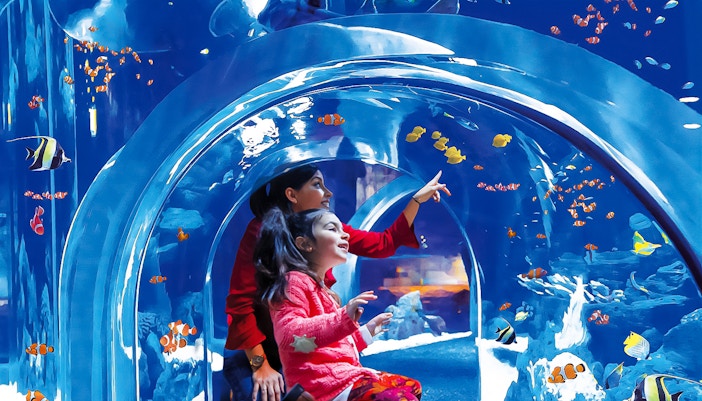 Educational Programs