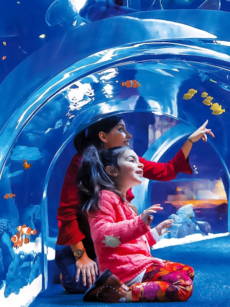 Visitors exploring underwater tunnel at Poema del Mar Aquarium, surrounded by colorful fish.